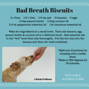 Homemade Essential Oil dog biscuits